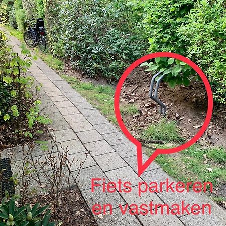 Wilde Moeflon, Geniet Van De Vrije Natuur! Otterlo Eksteriør bilde