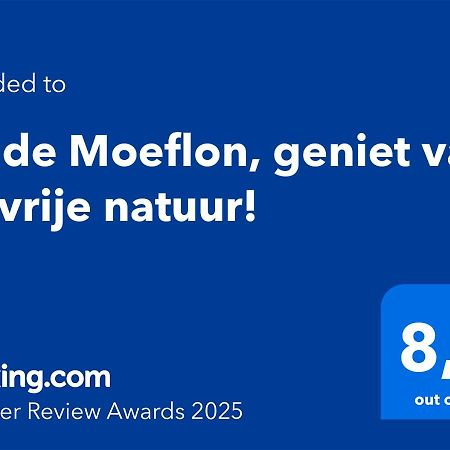 Wilde Moeflon, Geniet Van De Vrije Natuur! Otterlo Eksteriør bilde