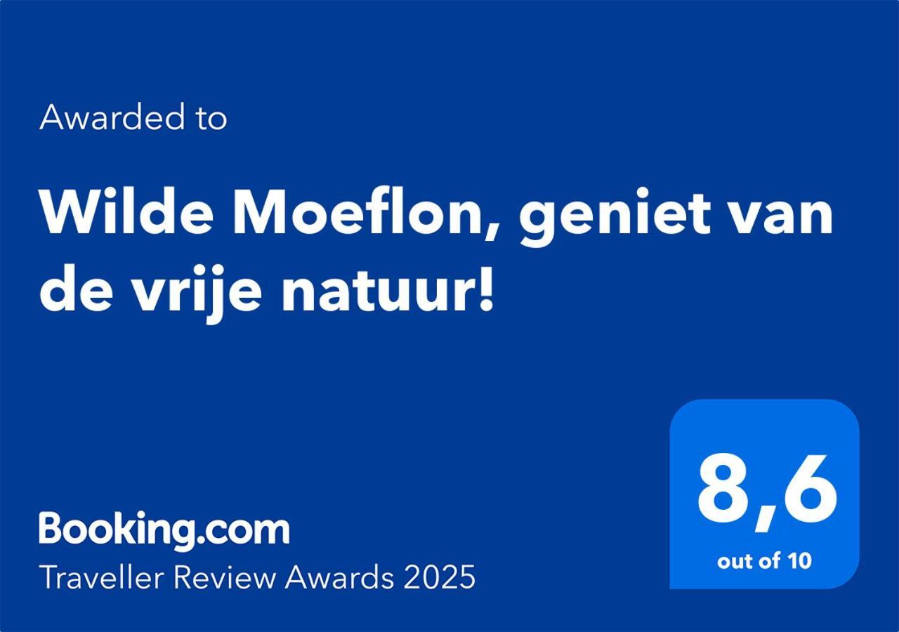 Wilde Moeflon, Geniet Van De Vrije Natuur! Otterlo Eksteriør bilde